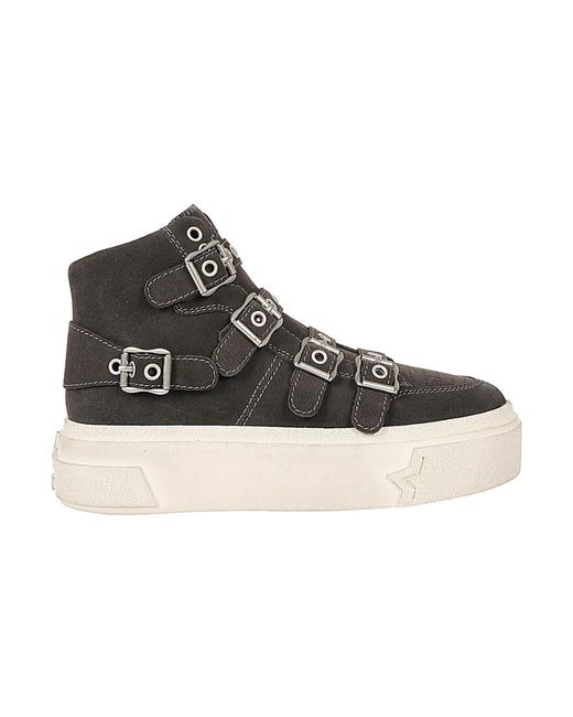 Ash Graue sheep leder-sneakers in Black für Herren