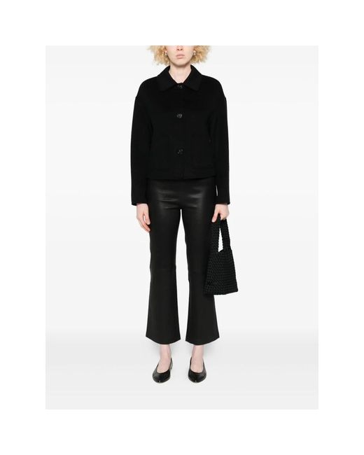 Light Jackets Arma en coloris Black