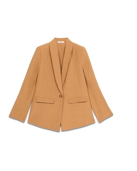 Oltre Blazers in het Brown