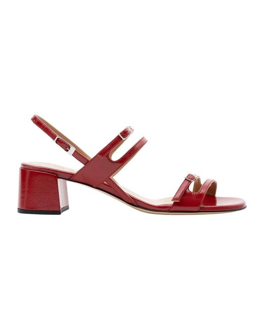 Parallèle Red Pegase