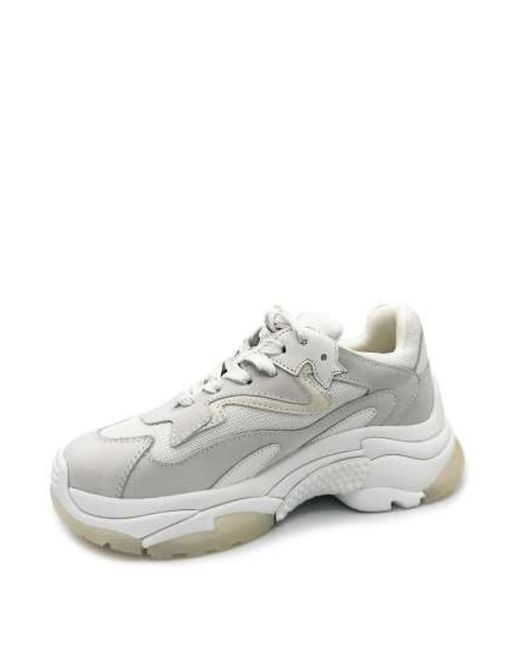 Ash Gray Sneakers