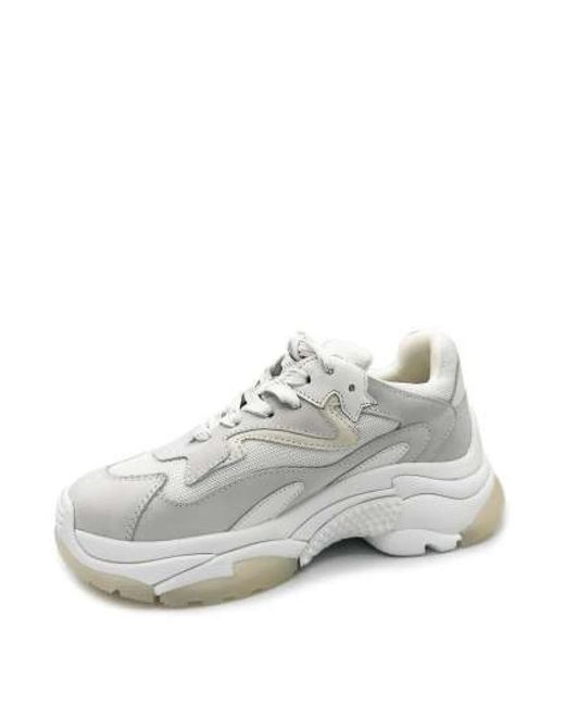 Ash Gray Sneakers