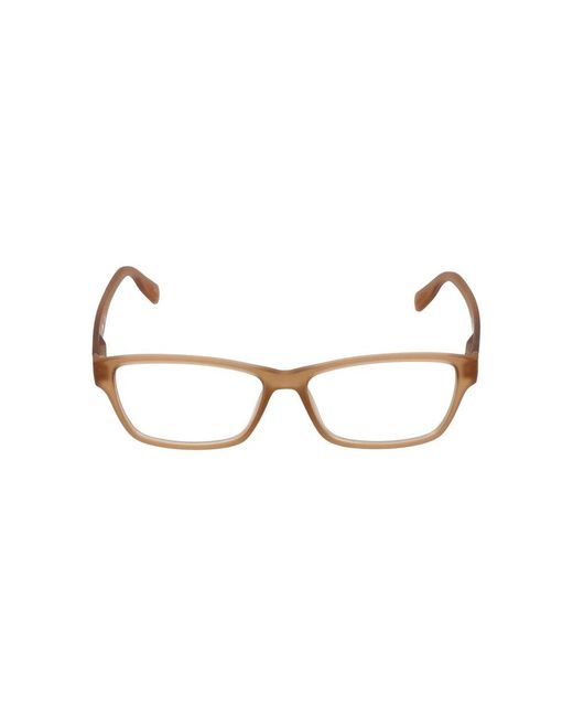Lacoste Brown Glasses