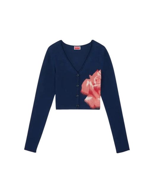 KENZO Blue Cardigans