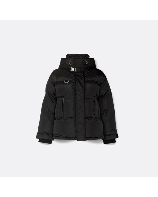 Jackets > winter jackets SHOREDITCH SKI CLUB en coloris Black