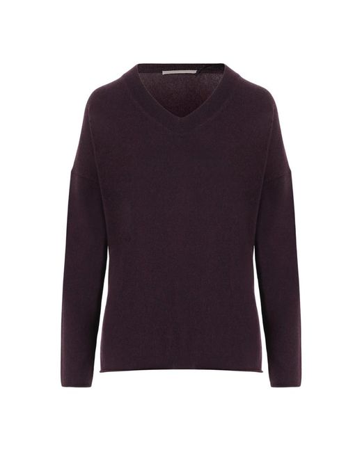 Allude Purple Cashmere Knitwear