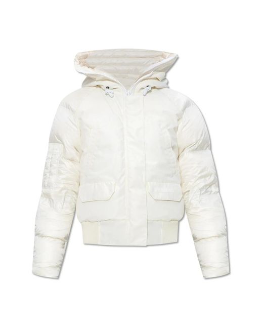 Canada Goose Down Jackets in het White