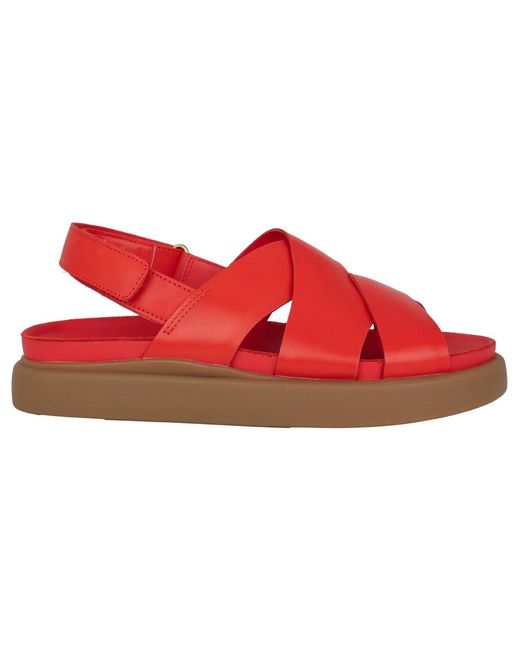 Clarks Schoenen ,Rood ,Rode Leren Sandaal in het Red