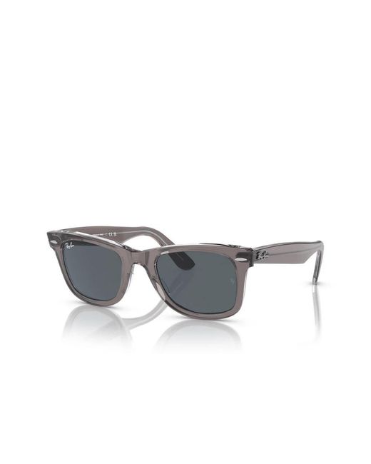 Ray-Ban Gray Sunglasses
