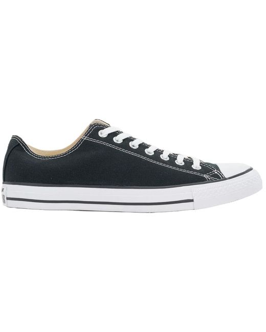 Converse Blue Sneakers