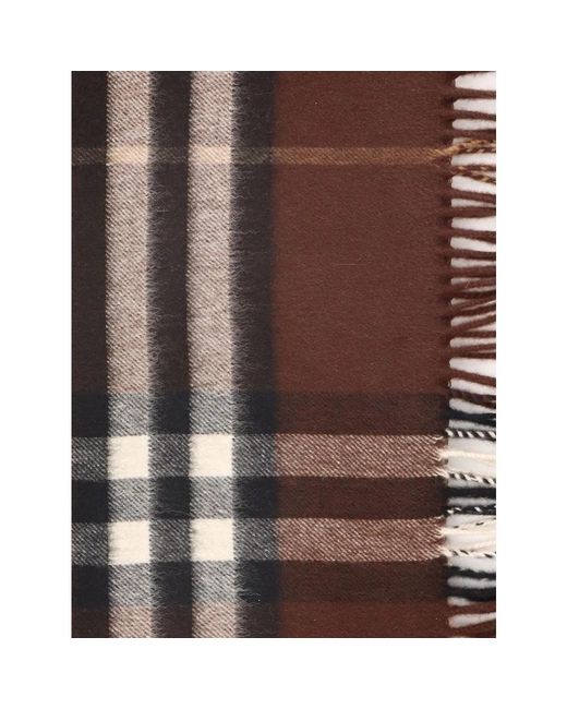 Burberry Brown Winter Scarves