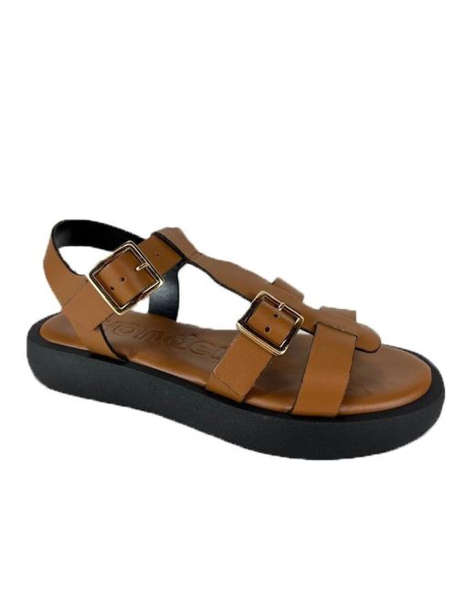 Wonders Brown Stilvolle Sandale Ab-1012