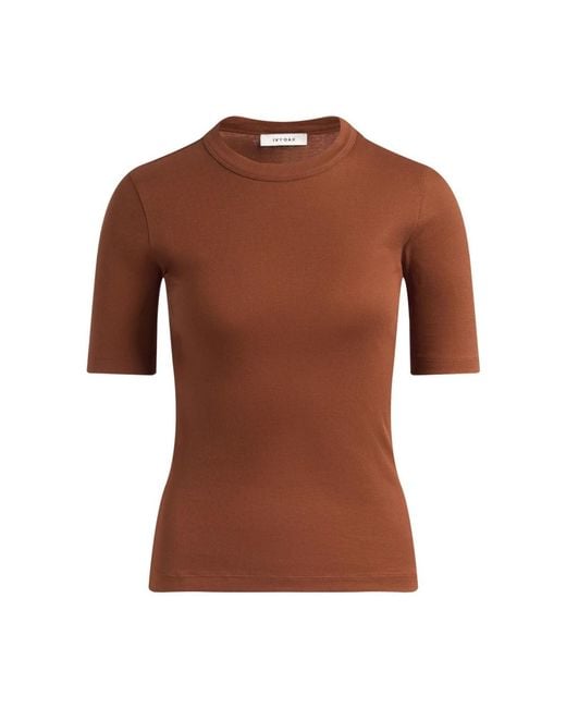 IVY & OAK Brown T-Shirts