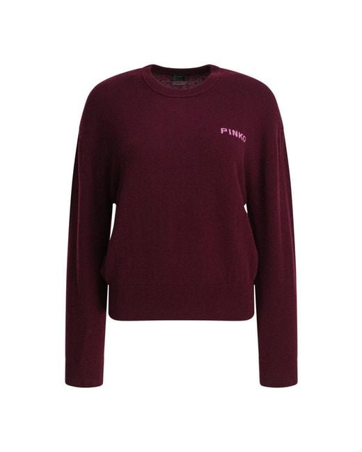 Pinko Purple Bordeaux Strickware Aw25