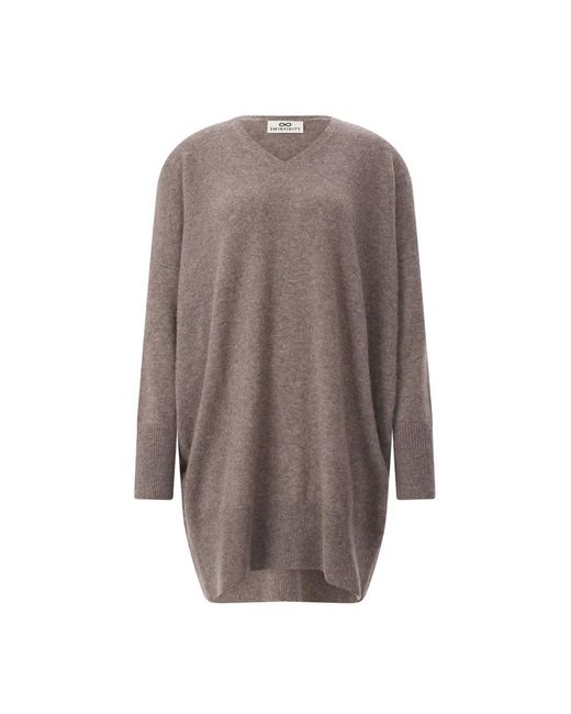 SMINFINITY V-Neck Truien in het Brown