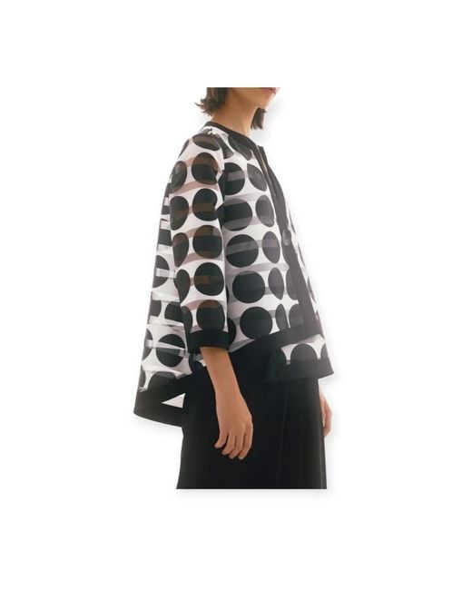 Joseph Ribkoff Black Blouses