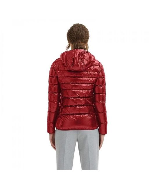 Centogrammi Jassen ,Rood ,Nylon Stralend Rode Ultra Lichtgewicht Donsjas Met Capuchon in het Red