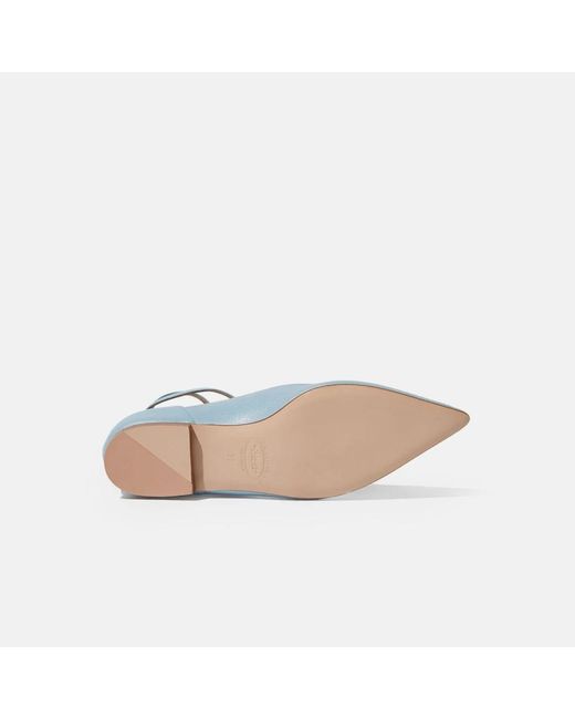 Scarosso Blue Ballerina Shoes