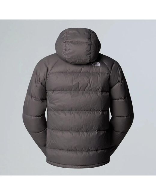 The North Face Fitness ,Grijs ,Nylon Hydrenalite Down Hoodie in het Gray voor heren