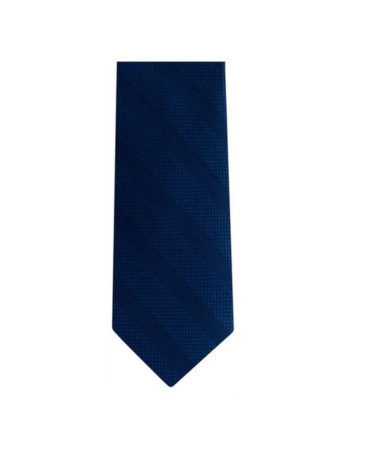 Michael Kors Blue Ties for men