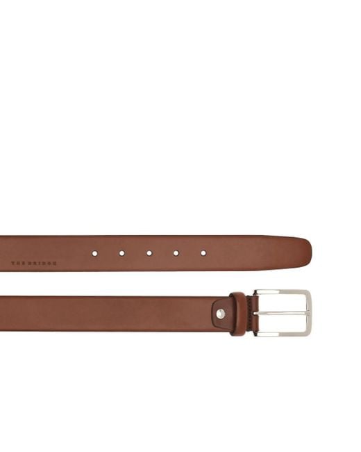 The Bridge Brown Belts for men