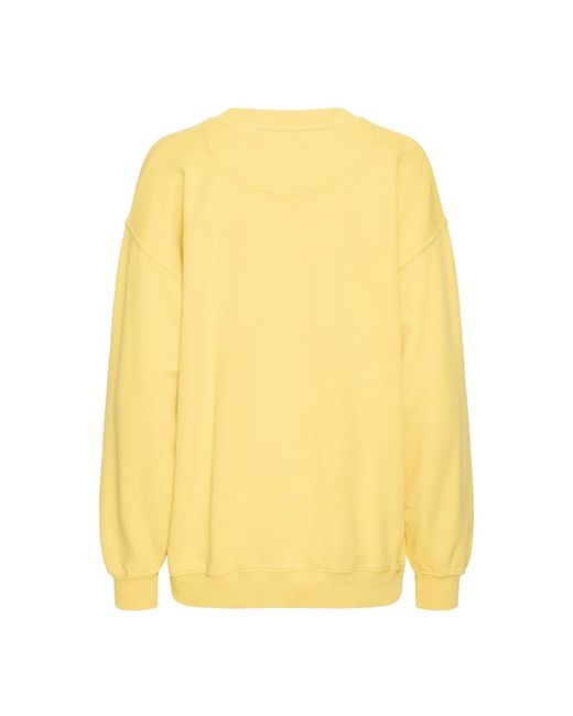 Ball Bamaldini Crew Neck Sweat in het Yellow
