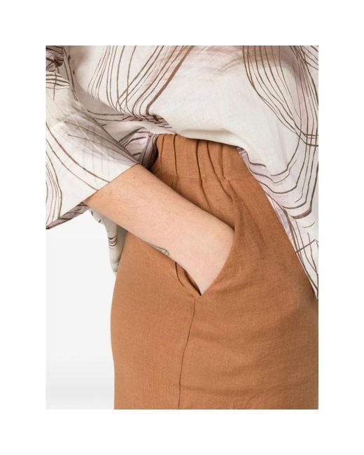 Gran Sasso Brown Casual Shorts