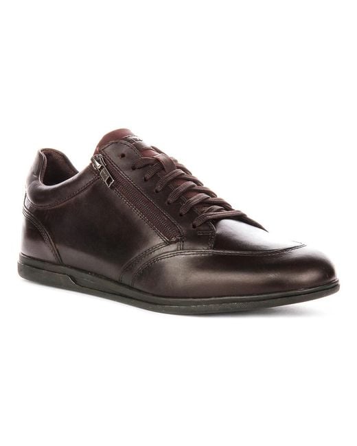 Geox Brown Sneakers for men