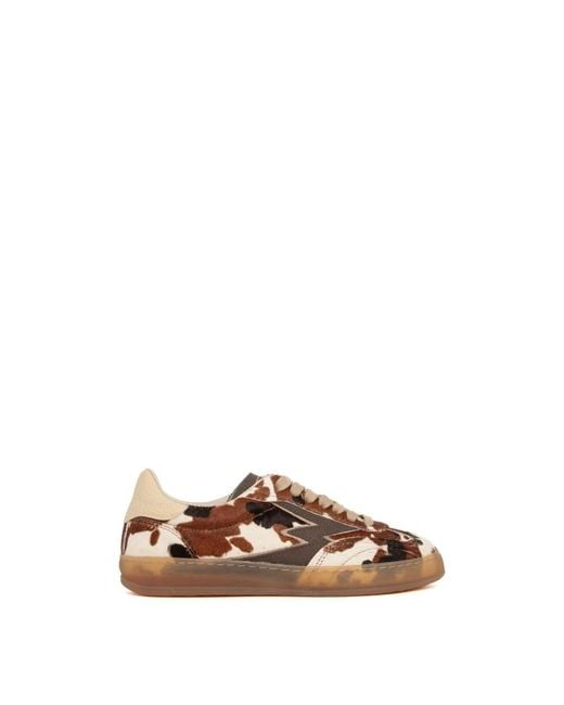 MOA Brown Sneakers