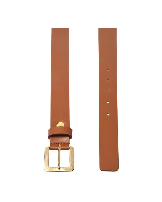 Baldinini Brown Belts