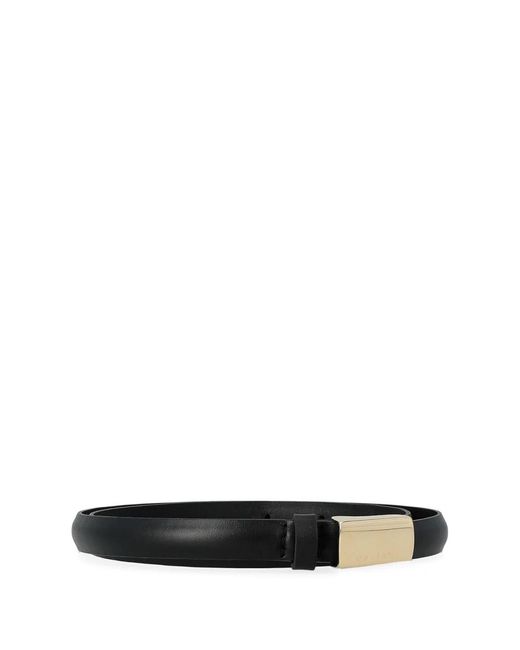 Orciani Black Belts