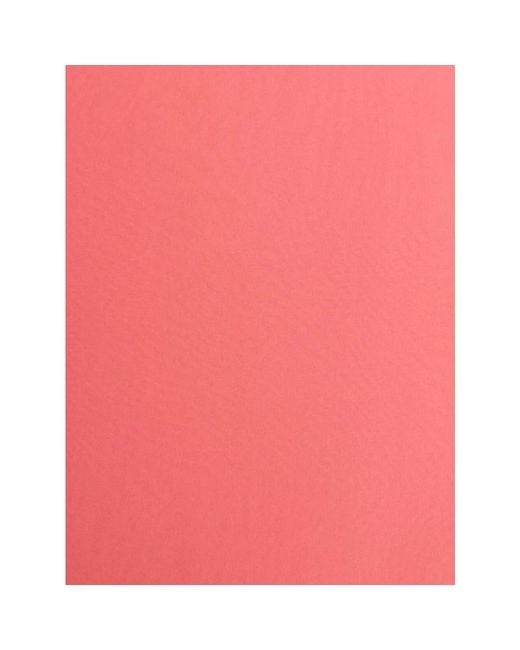 Alberta Ferretti Pink Silk Scarves