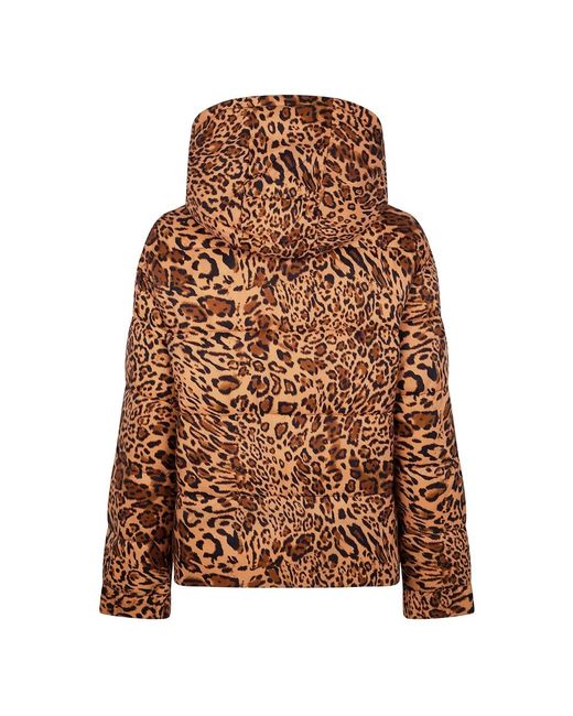 Twinset Winter Jackets in het Brown