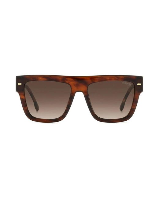 Carrera Brown Sunglasses