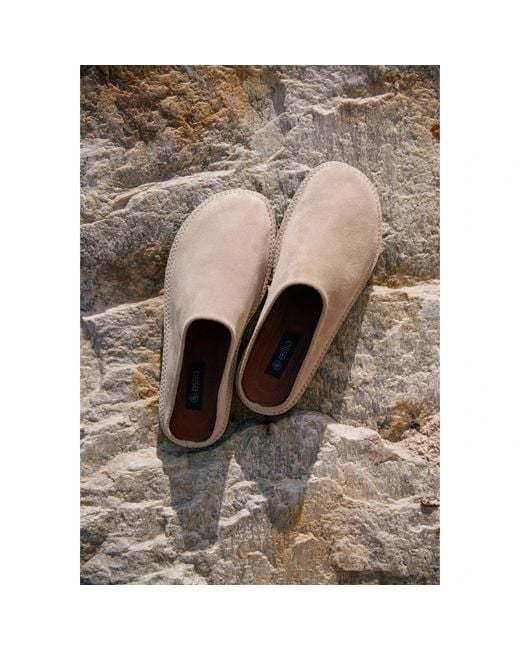 Mules di ESTRO in Gray