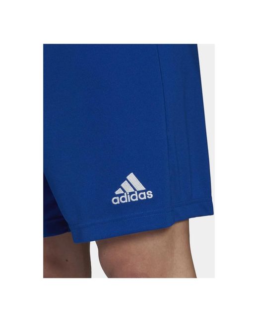 Adidas Shorts ent22 sho royblu in Blue für Herren