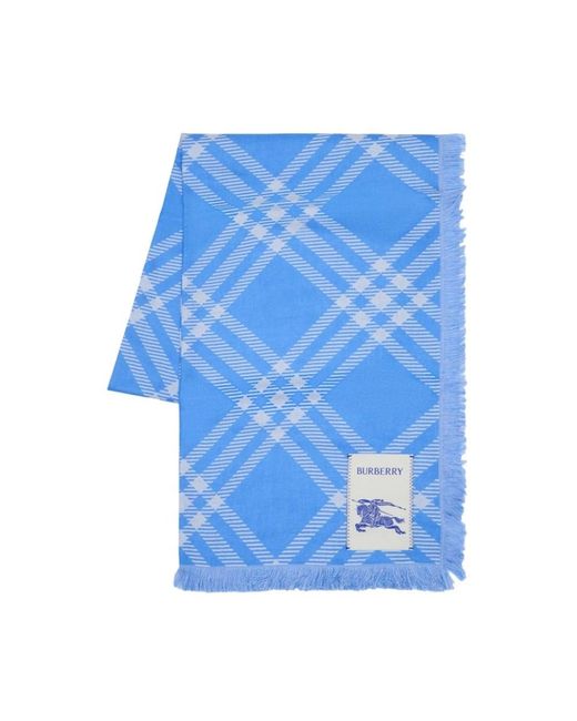 Burberry Blue Winter Scarves
