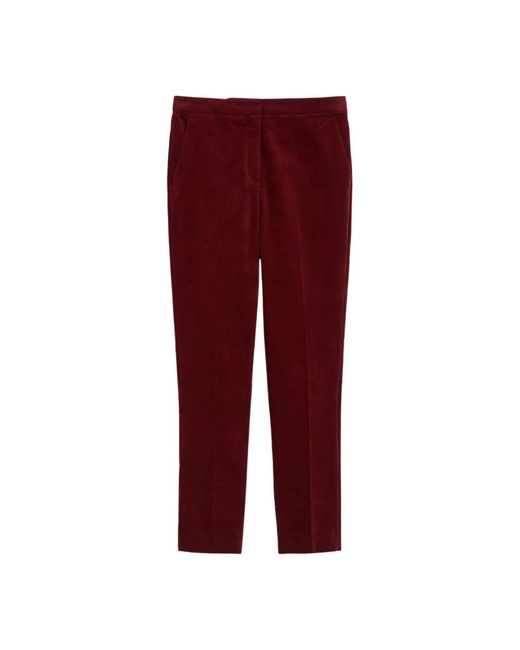 iBlues Red Straight Trousers