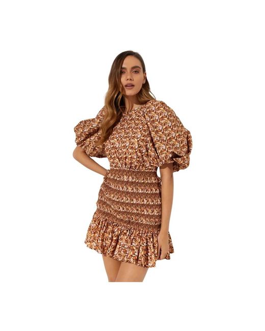 Acler Kleedjes ,Bruin ,Nylon Gestreepte Mini Jurk Brooks in het Brown