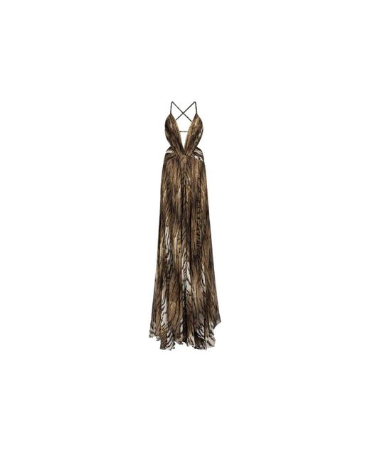 Roberto Cavalli Brown Tiger-Print Maxi Seidenkleid