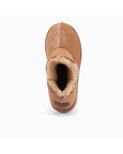 Warmbat Brown Willow