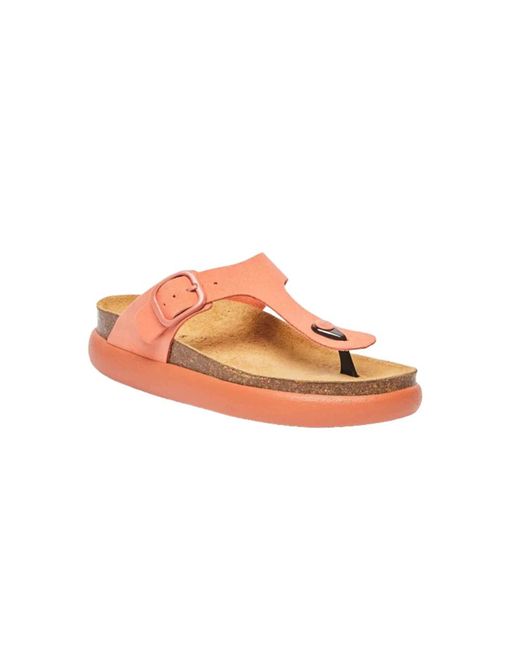 Flip Flops Scholl en coloris Pink