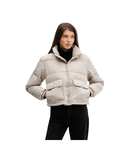 Winter Jackets Vans en coloris Gray