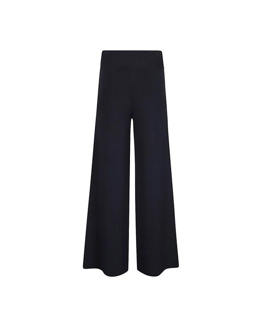 P.A.R.O.S.H. Blue Wide Trousers