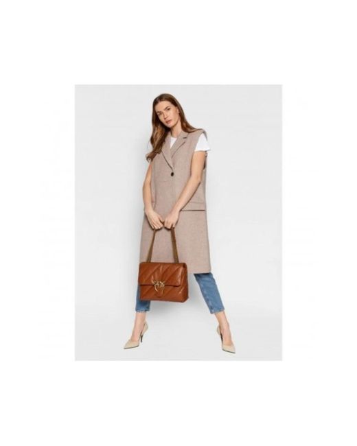 Pinko Brown Shoulder Bags