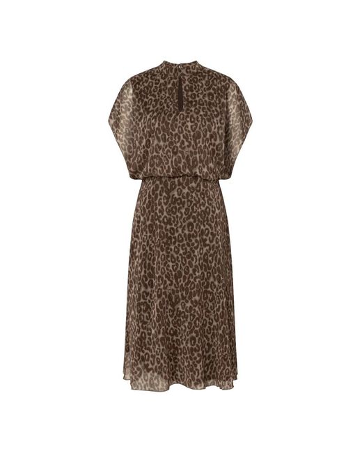Joop! Brown Midi Dresses