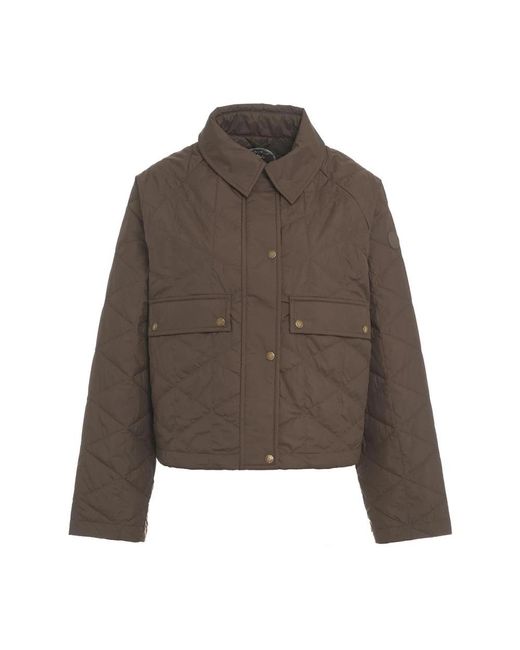 Save The Duck Brown Light Jackets