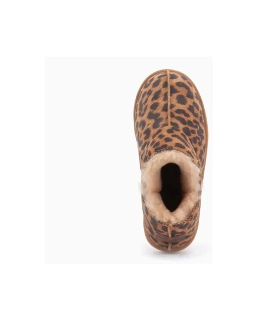 Winter Boots Warmbat en coloris Brown