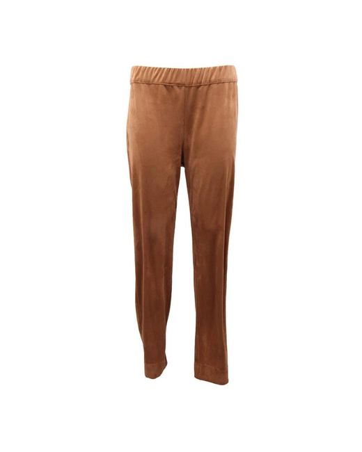 D.exterior Brown Straight Trousers
