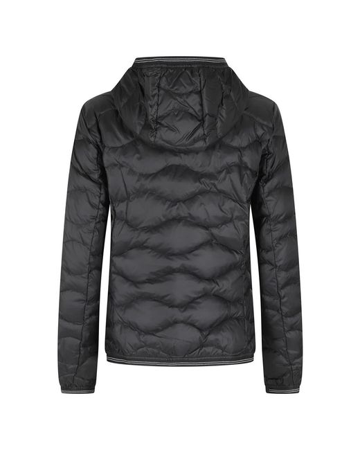 Down Jackets Blauer de color Black